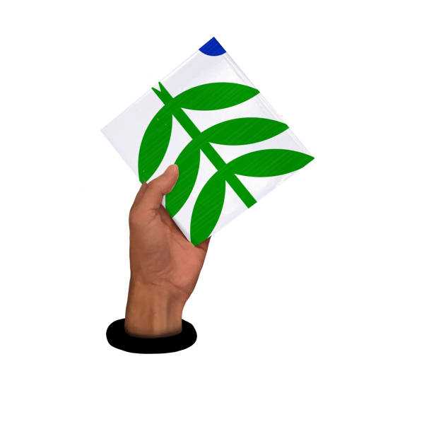 MÃO - PORTUGAL
